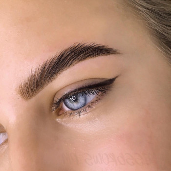 Окрашивание и коррекция бровей
                    Мастер перманентного макияжа Анастасия Мелитополь