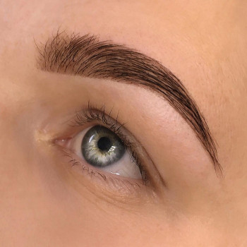 Окрашивание и коррекция бровей
                    Мастер перманентного макияжа Анастасия Мелитополь