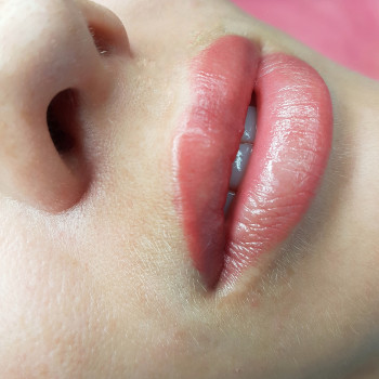 Нюдовые губки