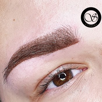 Пудровые брови
                    Майстер перманентного макіяжу Ольга Зорина Харків