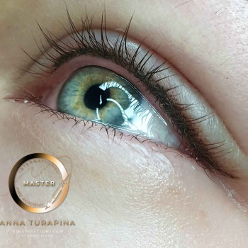 Перманентный макияж
                    Мастер перманентного макияжа Анна Винница