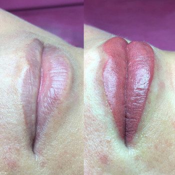 Перманентный макияж: брови, веки, губы. Татуаж. Нанонапыление
                    Мастер перманентного макияжа Диана Запорожье