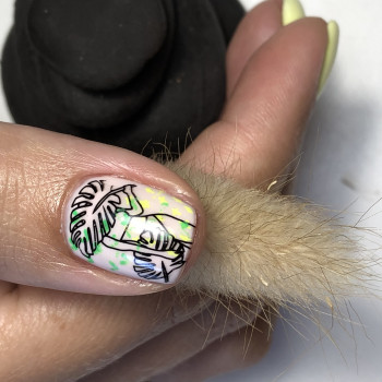 Шер Чумак , Запоріжжя Фото - 6