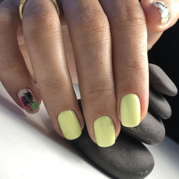 Шер Чумак , Запоріжжя Фото - 7