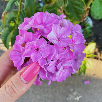 Анастасия Ключка , Запорожье Фото - 14