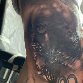 Максим Медведюк, Рівне Фото - 2