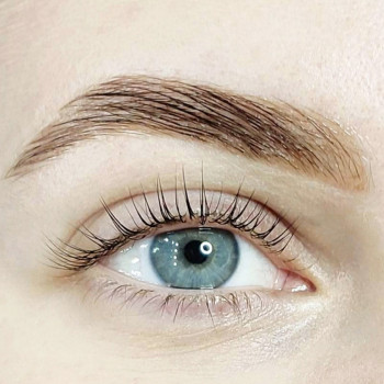 Долговременная укладка бровей/Ламинирование
                    Бровіст Светлана Київ