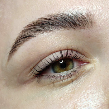 Долговременная укладка бровей/Ламинирование
                    Бровіст Светлана Київ