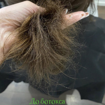 Ботокс для волосся
                    Салон красоты Центр Красоты и Здоровья Волос Киев