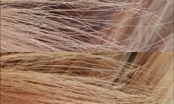 Полірування волосся Салон краси Muramur Одеса