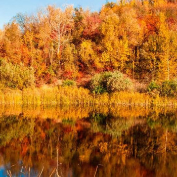 Влад Тренихин , Черкассы Фото - 5