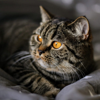 Татьяна Пальоха , Чернігів Фото - 5