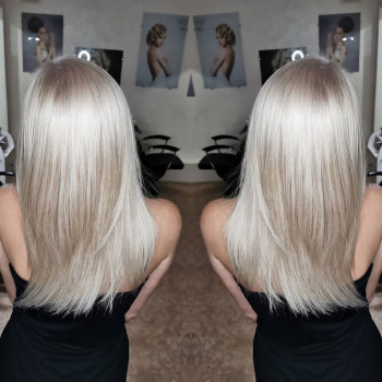 Тюльпан, Миколаїв Фото - 12