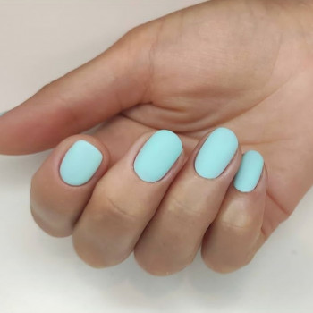 Тюльпан, Миколаїв Фото - 14