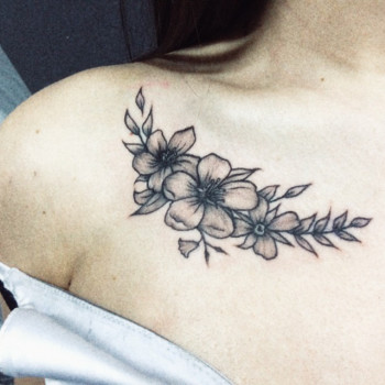 Роман Хиспер, Миколаїв Фото - 20