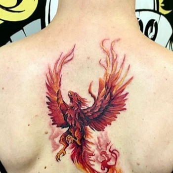 Татуировки
                    Салон краси 7 небо Львів