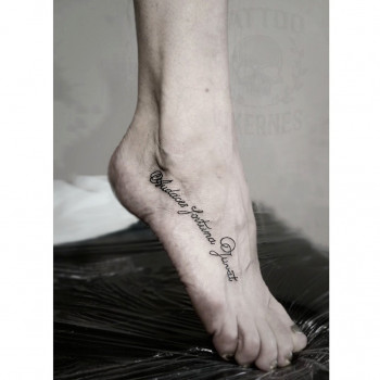 Виктория , Бориспіль Фото - 30