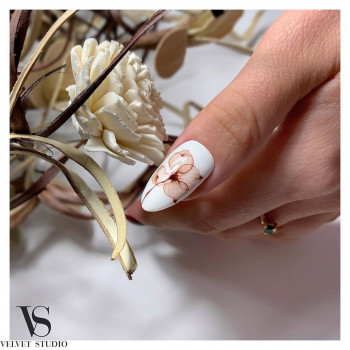 Velvet Studio, Харьков Фото - 35