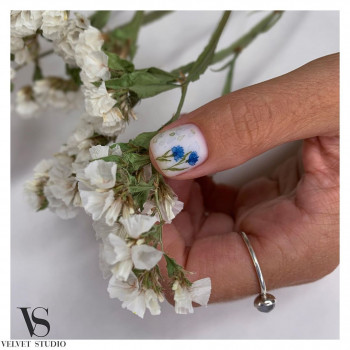 Velvet Studio, Харьков Фото - 37