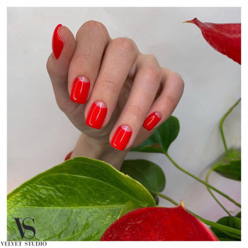 Velvet Studio, Харьков Фото - 45