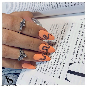 Velvet Studio, Харьков Фото - 55