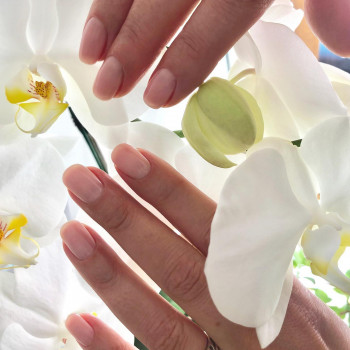 Дана, Львов Фото - 7