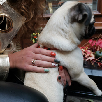 ТОП простір краси, Львов Фото - 24