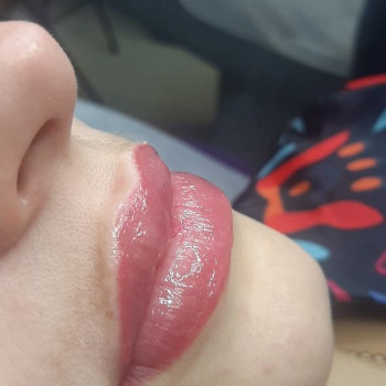 Пм губки акварельні