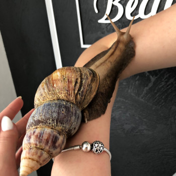 Ok beauty studio, Львів Фото - 9