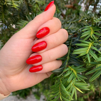 Ірен, Львів Фото - 11