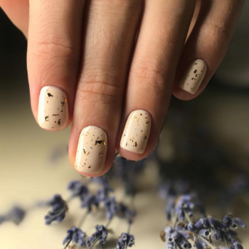 Софія, Львів Фото - 8