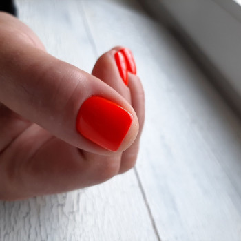 Sahar, Харьков Фото - 39