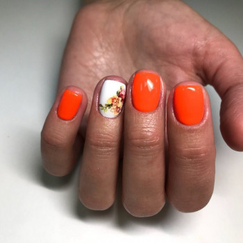 Sahar, Харьков Фото - 44