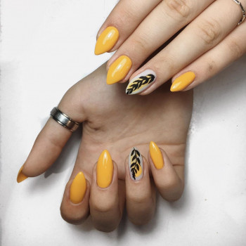 Rianna Nails, Львов Фото - 8