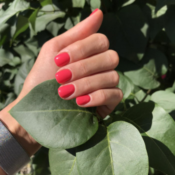 Sahar, Харьков Фото - 73