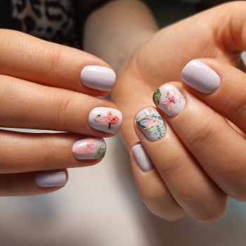 Sahar, Харьков Фото - 77