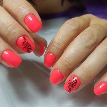 Светлана Худько, Мариуполь Фото - 10