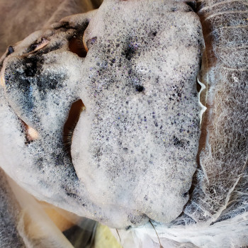 Людмила Чайка, Київ Фото - 22