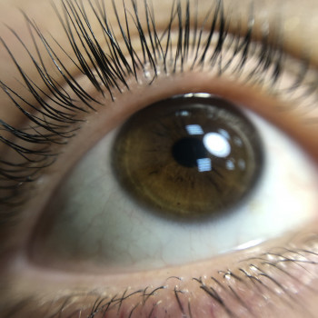 Макросъемка