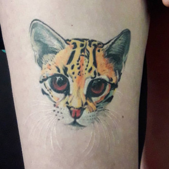 Татьяна Погодаева , Херсон Фото - 20