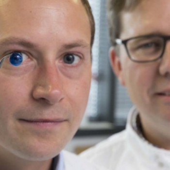 Візекс, Львов Фото - 5