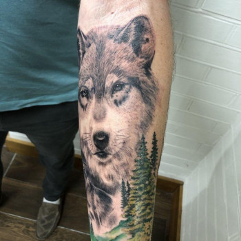 Z-salon, Херсон Фото - 14