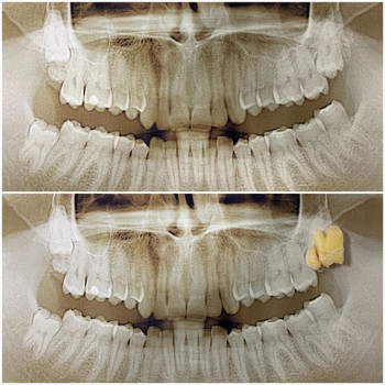 Богдан Маланяк , Львов Фото - 5