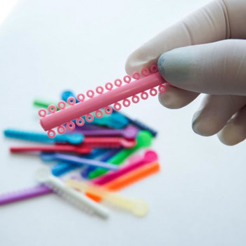 Елена Морозенко, Миколаїв Фото - 5