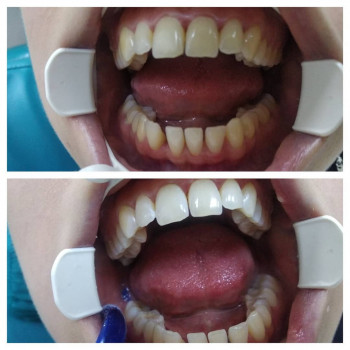 Пальмира, Харьков Фото - 5