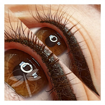 Класичні стрілочки
                    Студия татуажа Perfect Makeup Хмельницкий