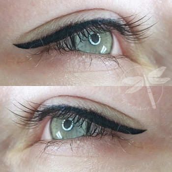 Класичні стрілочки
                    Студия татуажа Perfect Makeup Хмельницкий