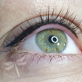 Класичні стрілочки
                    Студия татуажа Perfect Makeup Хмельницкий