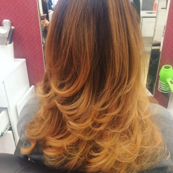 Окрашивание волос все виды (последние тенденции)
                    Салон красоты Светлана Киев