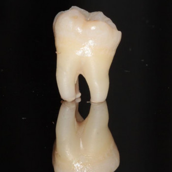 Артем Ефименко, Запоріжжя Фото - 5